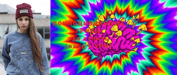 марки lsd Белокуриха