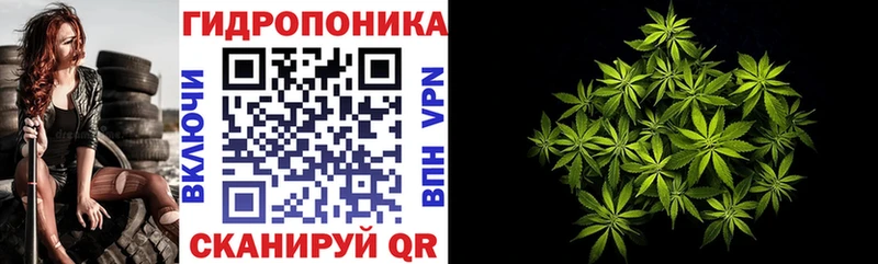 Канабис SATIVA & INDICA  где найти   Гороховец 